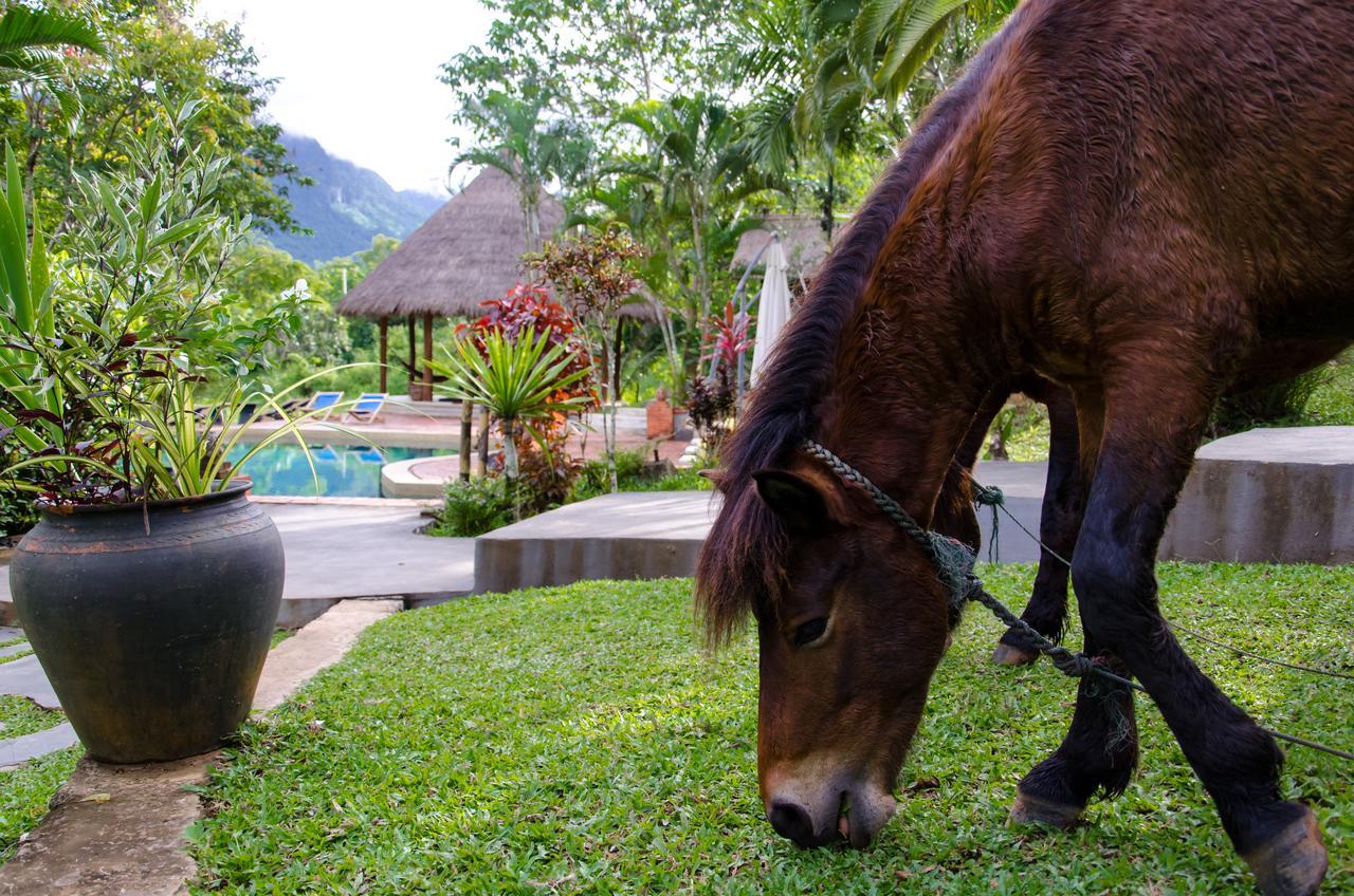 Hillside - Nature Lifestyle Lodge Luang Prabang Esterno foto